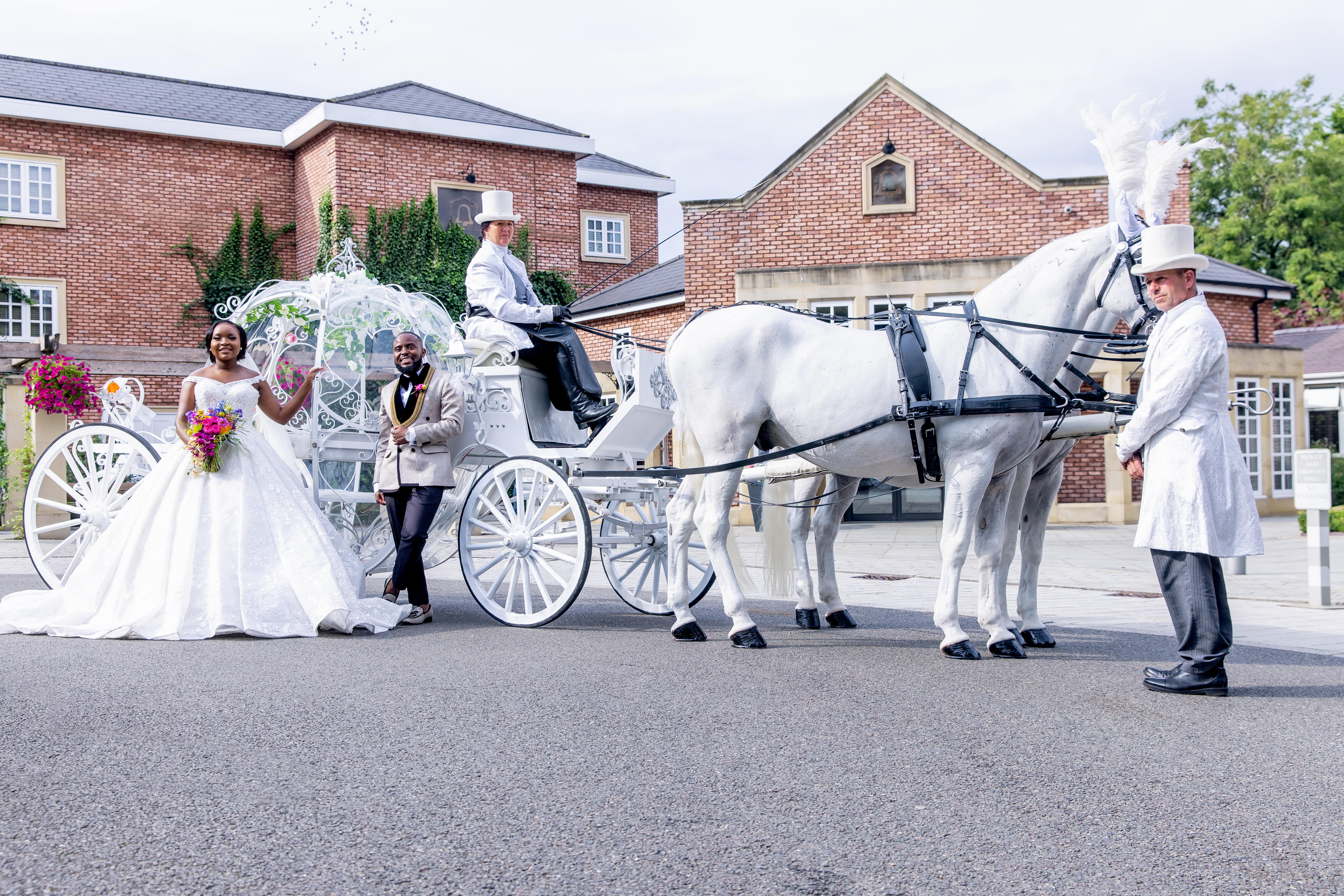 For Those Who Desire More Than Just Pictures